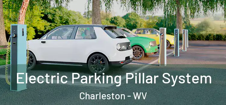  Electric Parking Pillar System Charleston - WV
