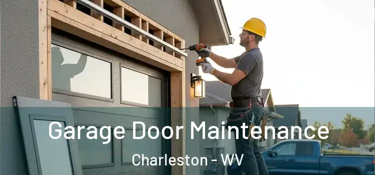  Garage Door Maintenance Charleston - WV