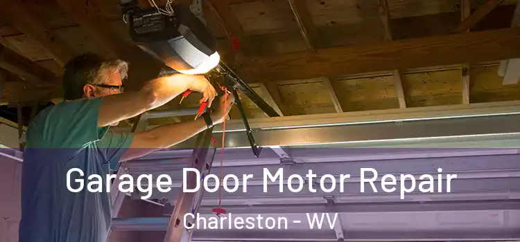  Garage Door Motor Repair Charleston - WV