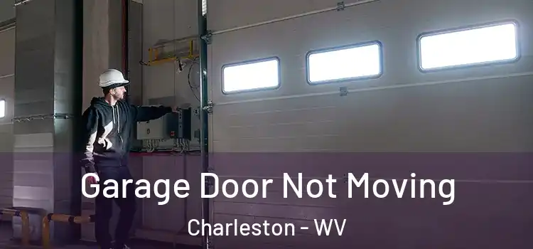  Garage Door Not Moving Charleston - WV
