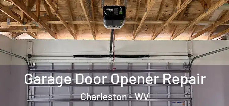  Garage Door Opener Repair Charleston - WV