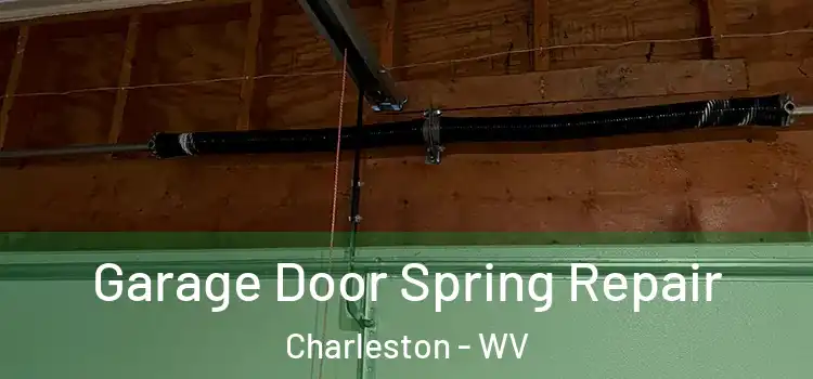  Garage Door Spring Repair Charleston - WV