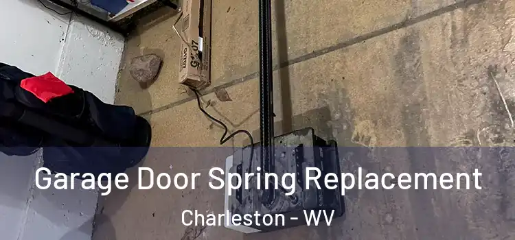  Garage Door Spring Replacement Charleston - WV