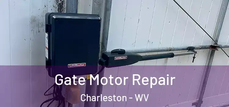 Gate Motor Repair Charleston - WV