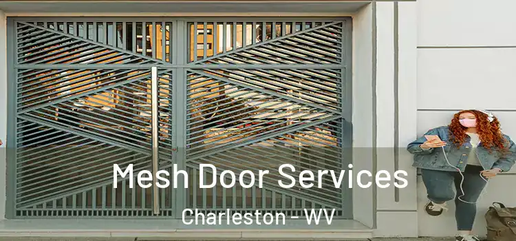 Mesh Door Services Charleston - WV