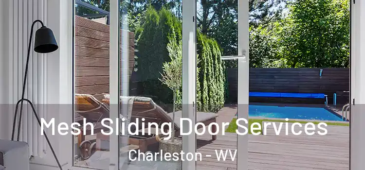 Mesh Sliding Door Services Charleston - WV